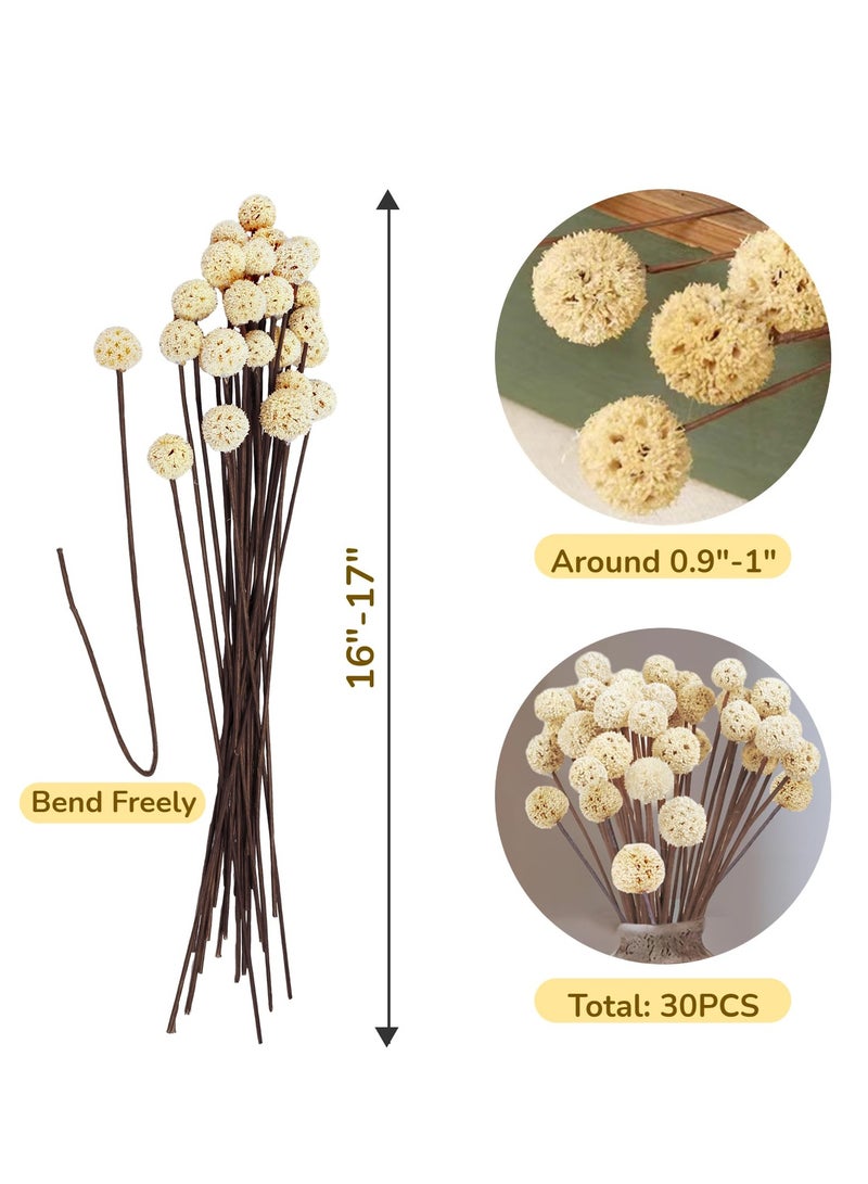 KASTWAVE 30 Pieces Natural Dried Craspedia Billy Balls Flowers, 17” Dried White Flowers Buttons Bouquet for Vase Floral Arrangements Wedding Table Centerpieces Party DIY Home Decor, Tree Decoration  - Image 3