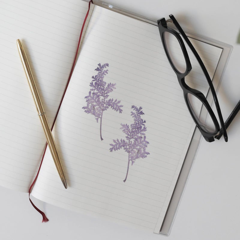 48 Dried Purple Artemisia Leaves For DIY Pressed Crafts Resin Bookmarks - Image 5