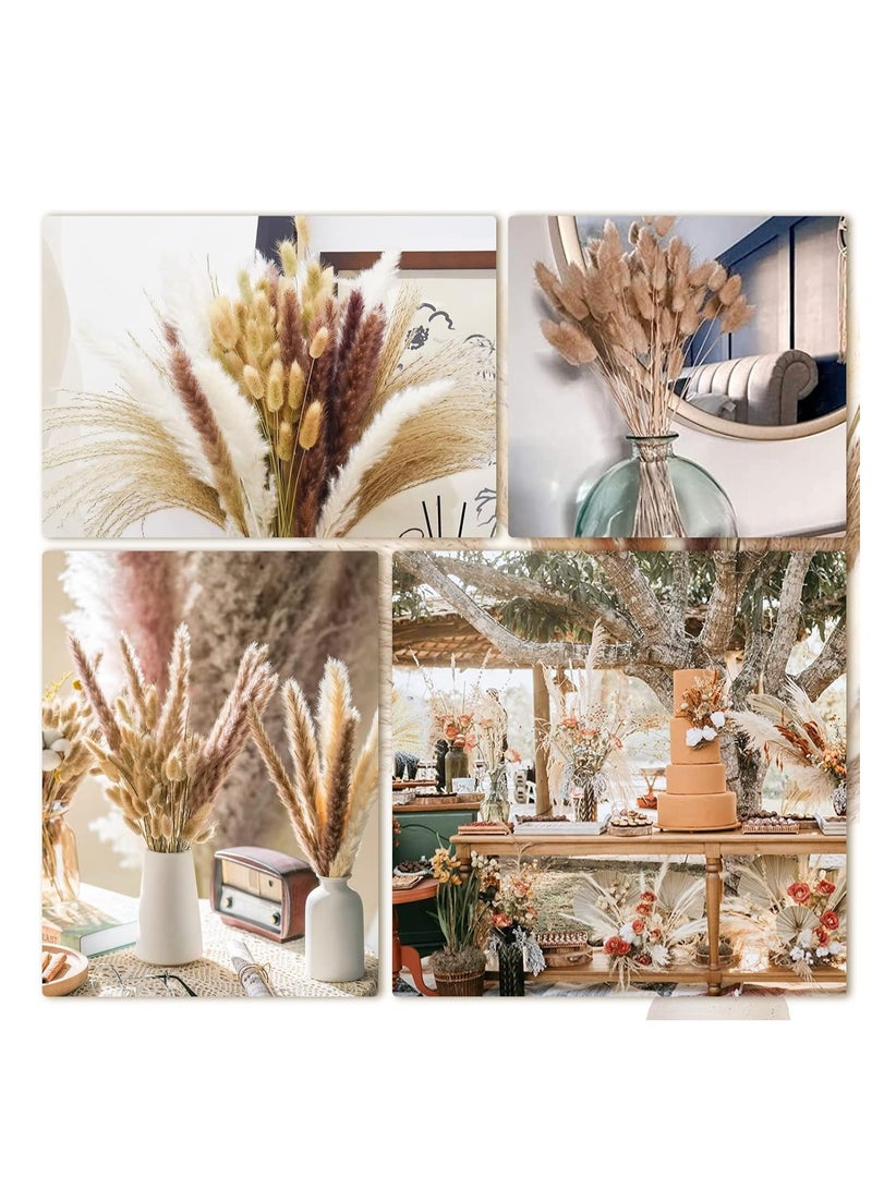 Generic 50PCS Pampas Grass Decor, 18 inch Dried Pampas Grass for Home Table Vase Rustic Farmhouse Decor, Fall Decor Wedding Decorations  - Image 3
