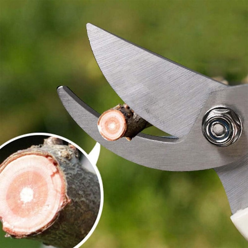 BUGUI Bypass Garden Pruning Shears - 2 Pack, Ultra Lightweight Hand Pruners Make Cut Smooth & Clean, Professional Gardening Scissors for Cutting Live Flowers, Plants, Light Branches - Image 5