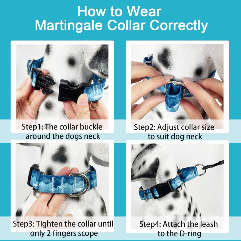 Fidohug Martingale Collar for Dogs with Buckle Dog Collar Adjustable Soft Nylon Boy Dog Collars for Medium Dogs, Blue Sunset - Image 5