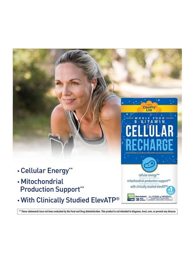 Cellular Recharge ? Whole Food B-Vitamin ? Whole Body Cellular Support ? Cellular Energy & Mitochondrial Production Support