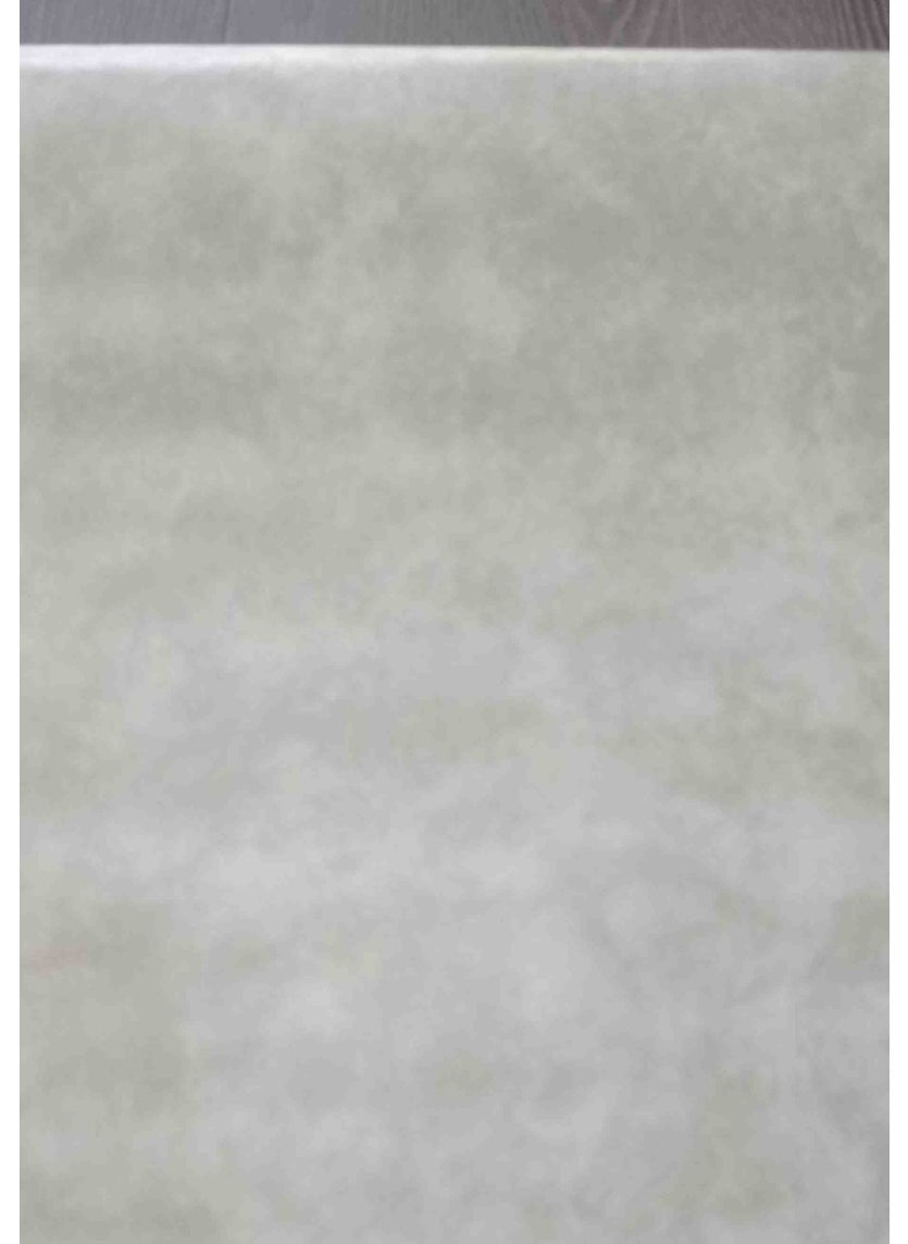 Golden - Self-Patterned Erasable Wallpaper 53 cm Width 10 Meters Long - Image 1