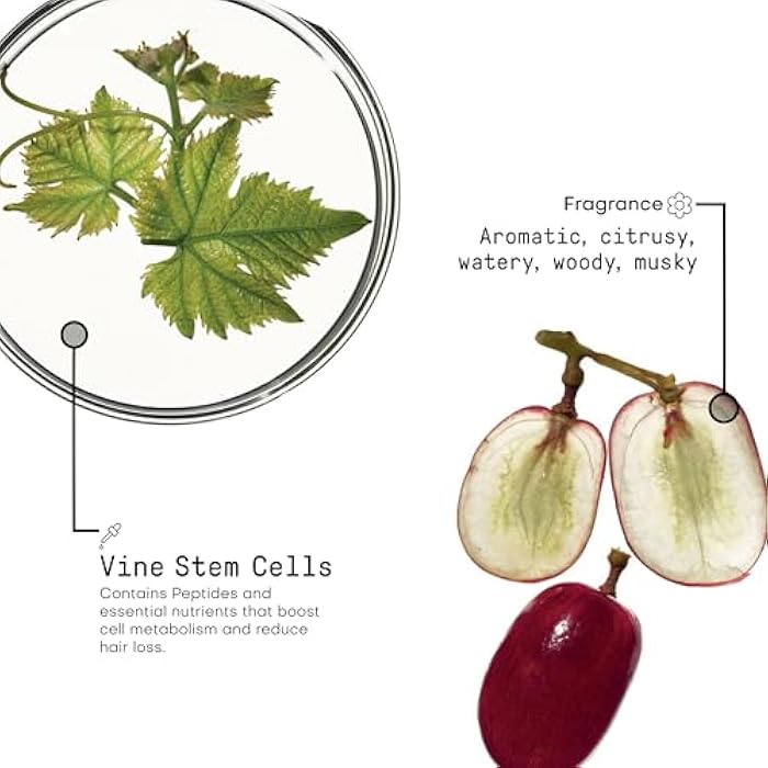 FRAMESI Morphosis Reinforcing Energizing Leave In Conditioner Spray, 5.1 fl oz, Treatment for Scalp and Thinning Hair - Image 4