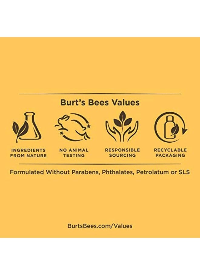 Burt's Bees - Lip Gloss Spring Splendor, 0.2 Fl Oz - Image 1