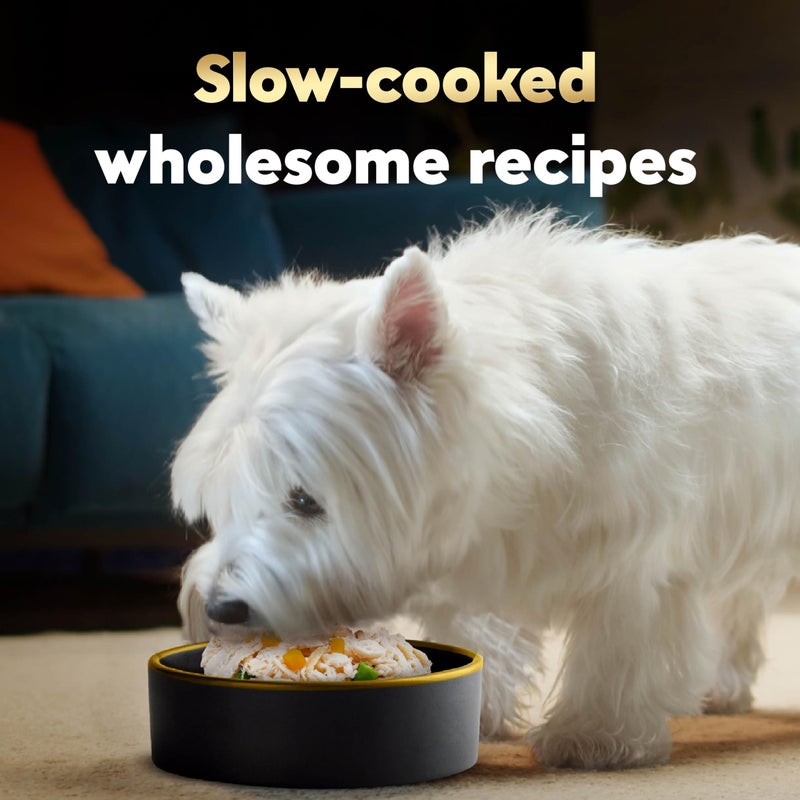 Cesar Wholesome Bowls Adult Wet Dog Food, Chicken, Sweet Potato & Green Beans Recipe, Wet Food for Dogs, 3 Oz. Bowls, 10 Count - Image 3