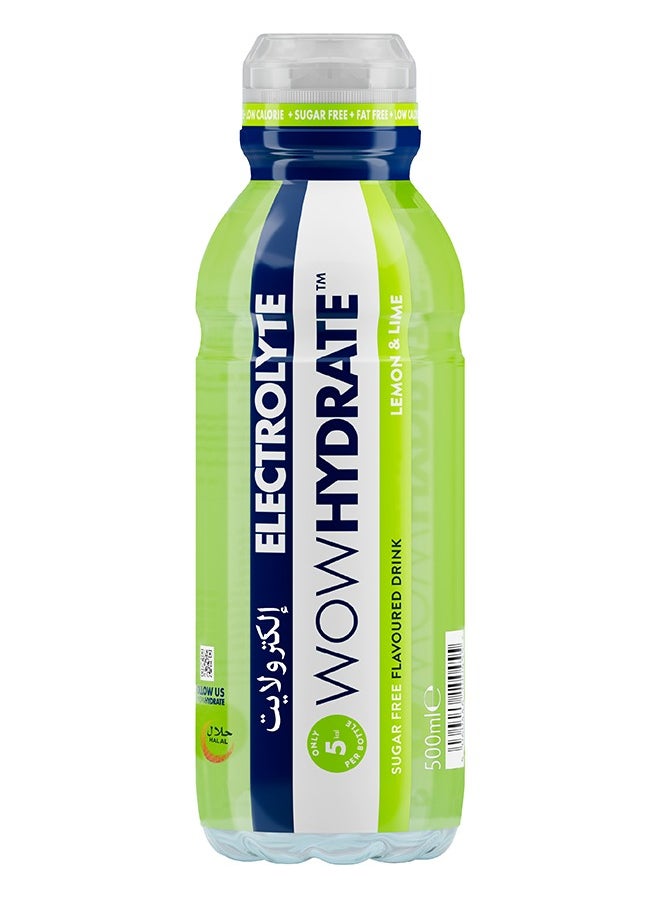 Electrolyte And Vitamin Water Lemon And Lime 500 ML - pzsku/ZC14B24BD54C0FF2498E9Z/45/_/1739268748/59b1dad1-6d4c-429b-9400-0d895700ef98