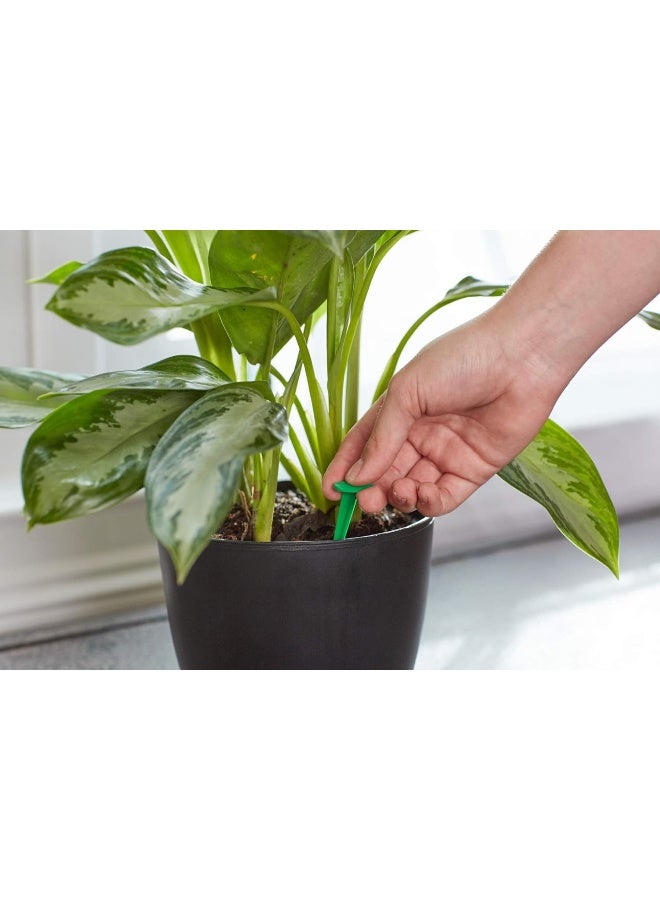 Miracle-Gro Bluebells Indoor Plant Food Spikes, Includes 48 Spikes - Continuous Feeding For All Flowering And Foliage Houseplants - Npk 6-12-6 (2 Pack)  - Image 1