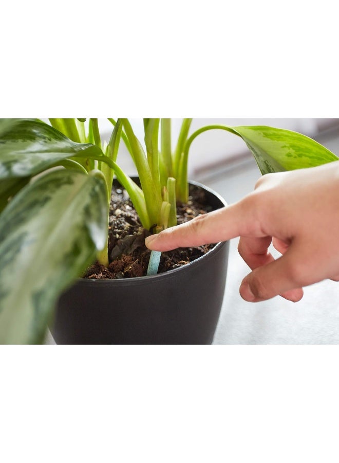 Miracle-Gro Bluebells Indoor Plant Food Spikes, Includes 48 Spikes - Continuous Feeding For All Flowering And Foliage Houseplants - Npk 6-12-6 (2 Pack)  - Image 5