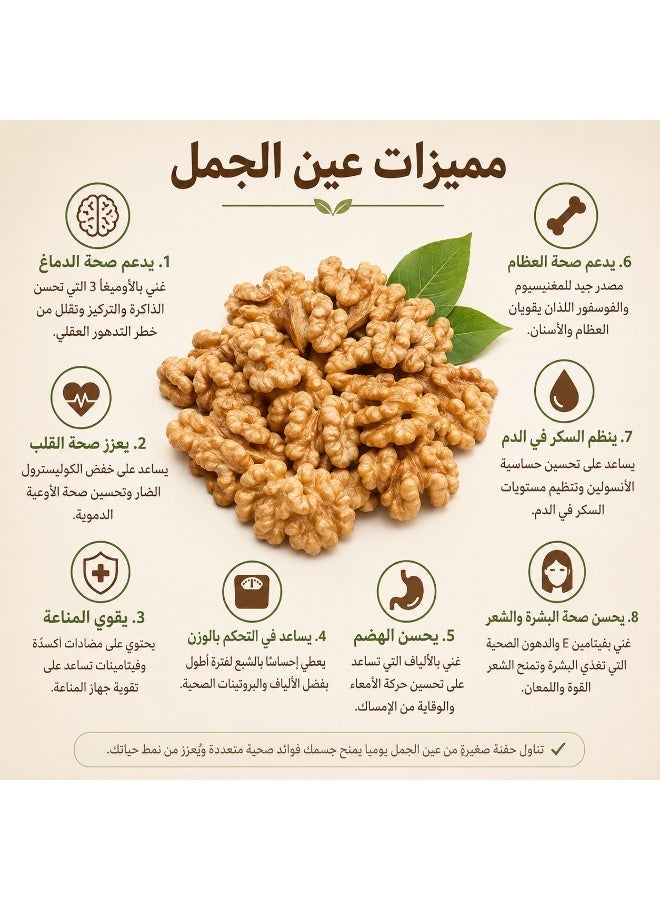 Premium Walnut Kernels Grade A – 500g | Fresh Natural Walnut Halves & Pieces | Raw California Style Walnuts | Rich Source of Omega 3, Fiber, Protein & Healthy Fats | Healthy Snack, Baking, Cooking & Desserts - Image 3