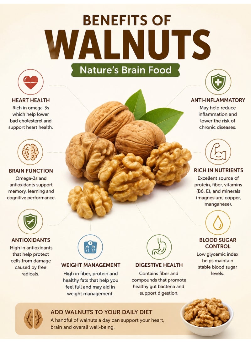Premium Walnut Kernels Grade A – 500g | Fresh Natural Walnut Halves & Pieces | Raw California Style Walnuts | Rich Source of Omega 3, Fiber, Protein & Healthy Fats | Healthy Snack, Baking, Cooking & Desserts - Image 5
