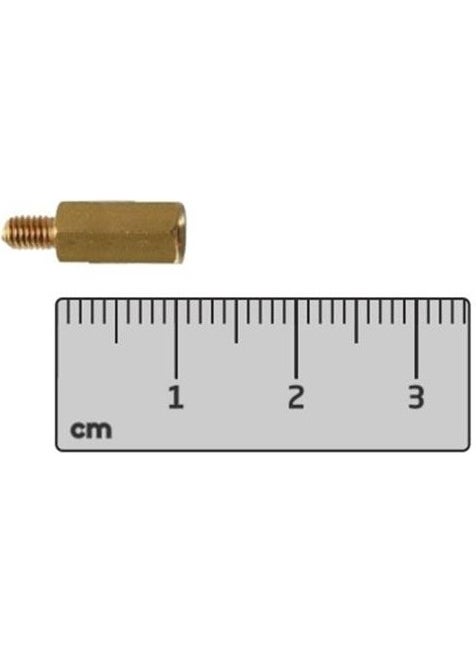 M3X10MM Brass Female-Male Electronic Card Riser-Spacer-Distance(Standoff) - pzsku/ZC14D9E3286D0CF13C179Z/45/_/1740622864/28b4adb4-4735-431c-8d98-9507b6bf3045