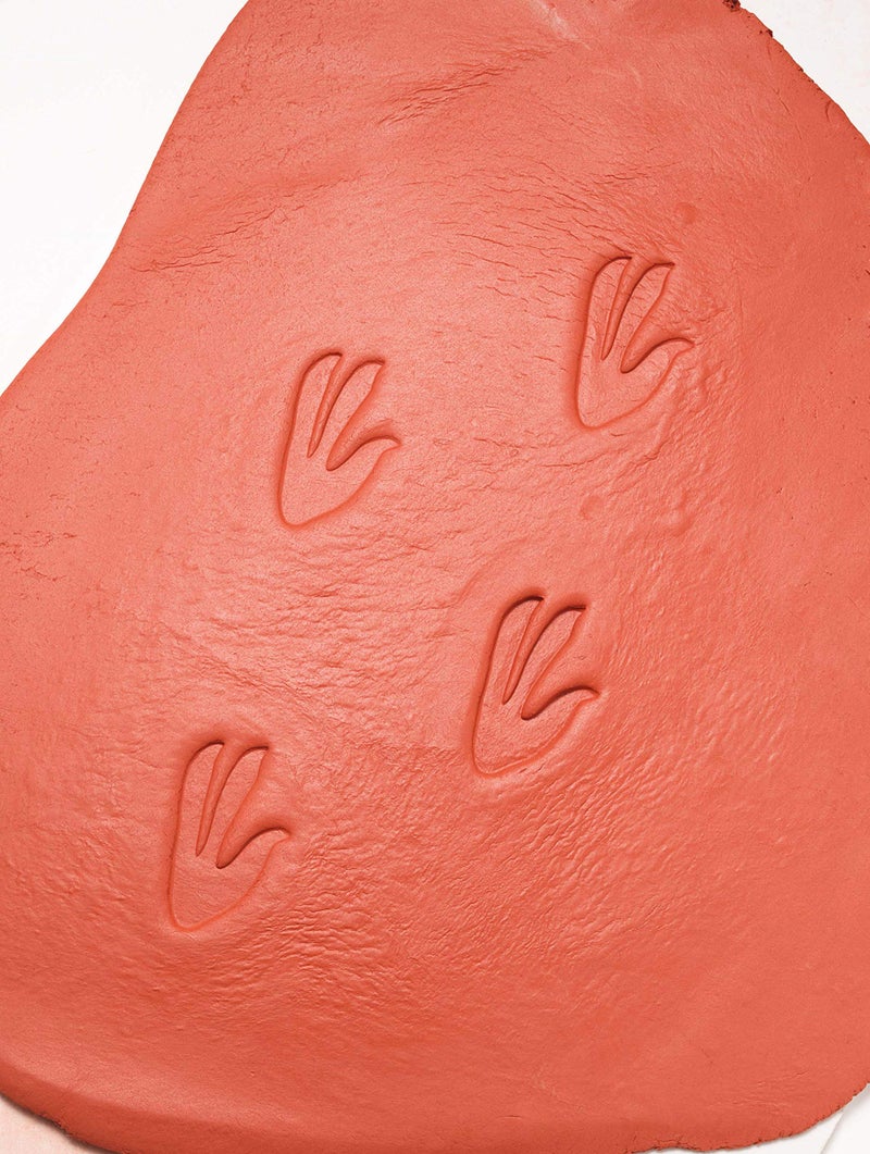 Yellow Door Let's Investigate Dinosaur Footprints - Image 3