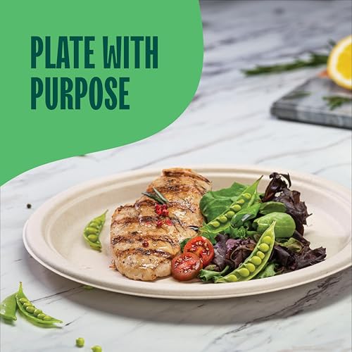 Stack Man Paper Plates, 100% Compostable Heavy Duty Disposable 10 Inch Plate - [125-Pack] - {PFAS-Free} - {BPI Certified} Eco-Friendly, Biodegradable Bagasse - Image 3