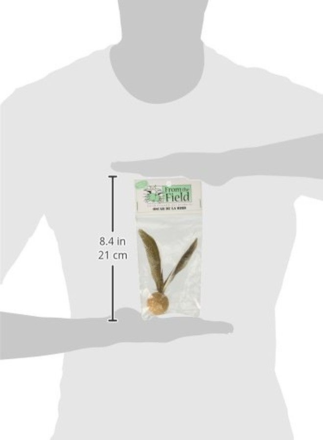 from The Field | Oscar De La Bird Cat Toy | Natural Cork Ball with Dye-Free Feathers | Eco-Friendly, Durable, USA-Made Interactive | Play Toy for Cats and Kittens - Image 3