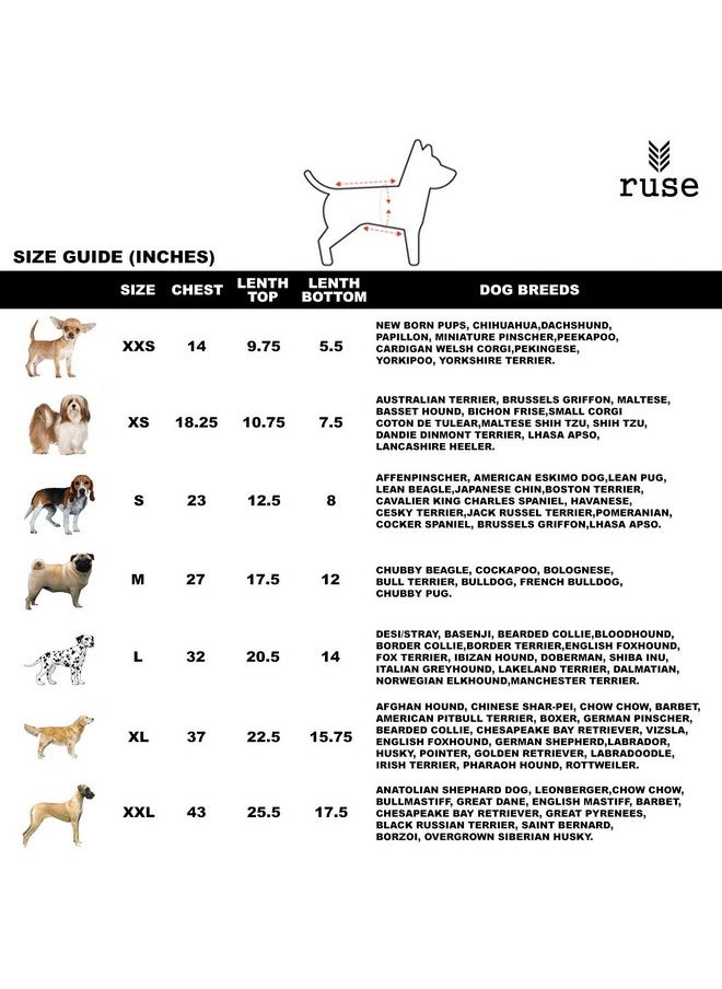 rusepin - .Pet Clothes Solid Striper Raglan Full Sleeves Round Neck Dog Streetwear T-Shirt/Tees Apparel For Dogs./Medium (Chubby Pugs, Beagle Etc.) - Image 1