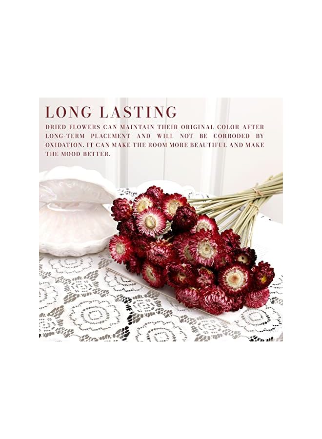 The Bros باقة زهور مجففة 40 قطعة من الأقحوان 100% زهور مجففة طبيعية مع ساق لتزيين المنزل، حفلات، ترتيب DIY، قش القمح بالجملة (برغندي) - Image 5