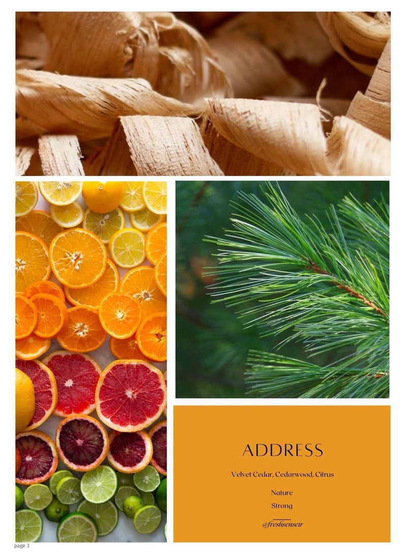 Fresh Sense Address Diffuser Aroma Oil – Velvet Cedar, Cedarwood & Citrus Aromatherapy Blend for Oil Diffusers and Scent Machines – Made in UK – Strong Intensity Nature Scent - Image 1