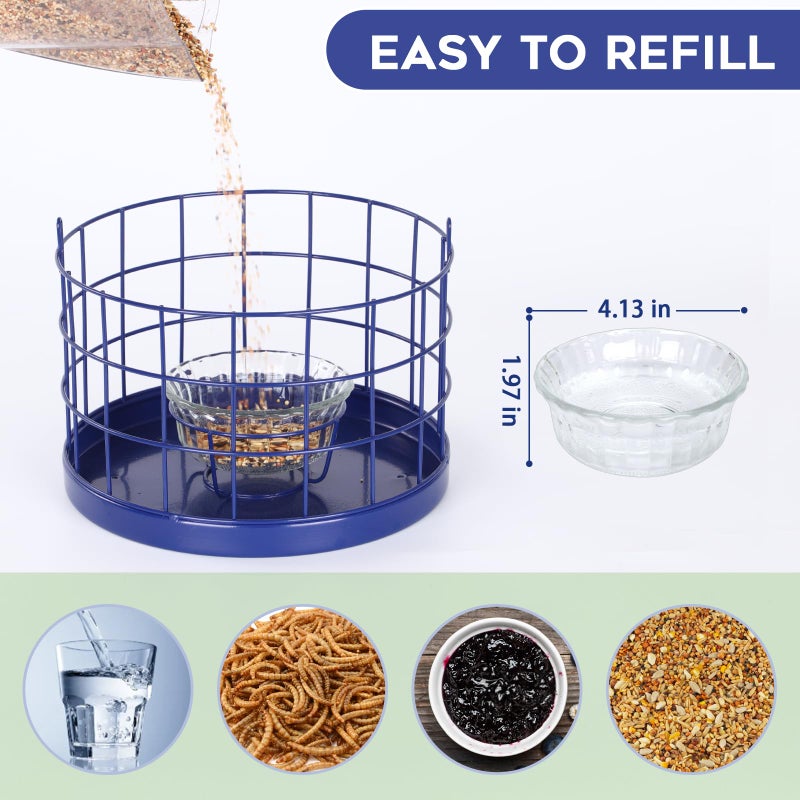 Gbekery Caged Bluebird Feeder for Mealworms with Glass Bowl, Squirrel Proof Bird Feeder for Small Birds Only, Detachable Hook, Large Space, Outdoors Weatherproof, Metal, Blue - Image 4
