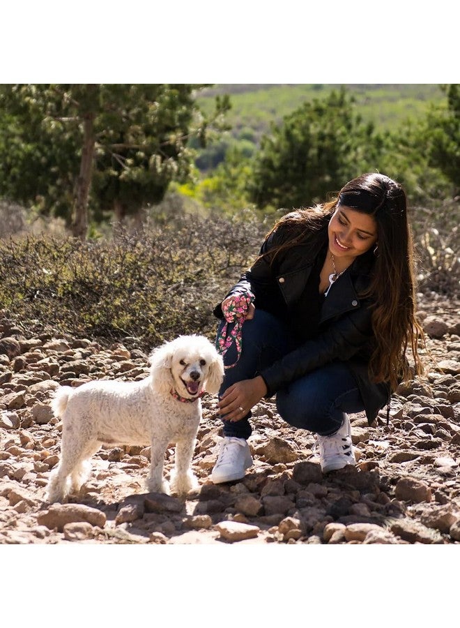 كوستال طوق كلاب قابل للتعديل من كوستال بيت ستايلز - أقمشة منقوشة أنيقة - مشبك قفل سريع - طوق كلاب قابل للتعديل - للكلاب الصغيرة والمتوسطة والكبيرة - جماجم سوداء - 3/4 بوصة × 14-20 بوصة - Image 2