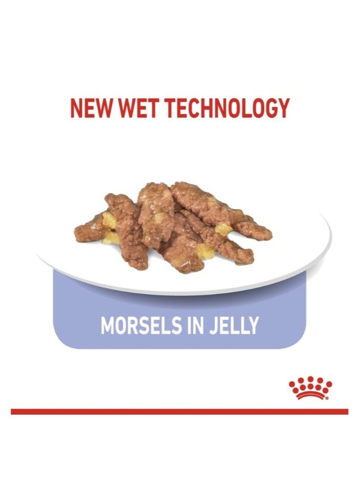 ROYAL CANIN Feline Health Nutrition Indoor Jelly (WET FOOD - Pouches) 12 x 85g - Image 2