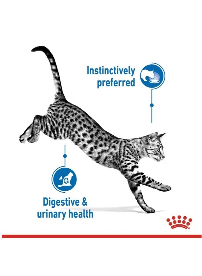 ROYAL CANIN Feline Health Nutrition Indoor Jelly (WET FOOD - Pouches) 12 x 85g - Image 4