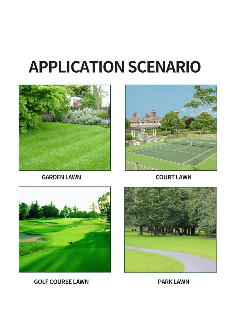 YEGBONG Sprayer's Green Grass Paint,Natural Green Lawn Spray - Image 4