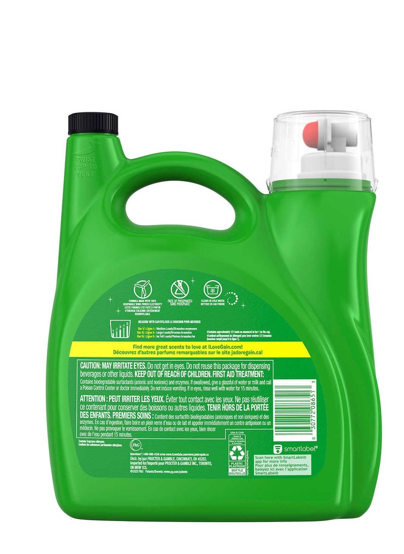 Gain Liquid Laundry Detergent High Efficiency Cold Water + Oxi Fresh Water Frost for Sensitive Skin 4.87 L 121 Loads  - Image 4