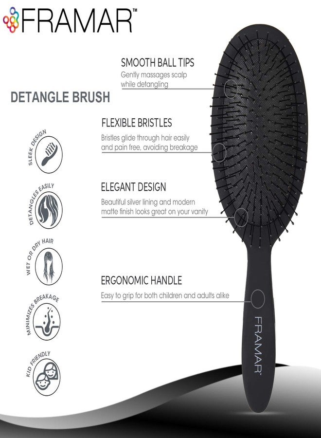 Framar Detangling Brush for Curly Hair - Hair Brushes for Women Detangler, Wet Detangler Hair Brush Wet, Wet Hairbrush For Women, Hairbrushes, Wet Hair Brush Detangler - Reduces Hair Breakage Black - Image 2