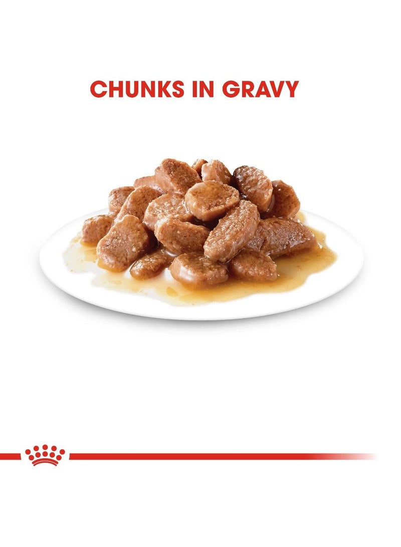 Royal Canin Feline Care Nutrition Hairball Gravy (WET FOOD - Pouches) 12 x 85g - Image 5