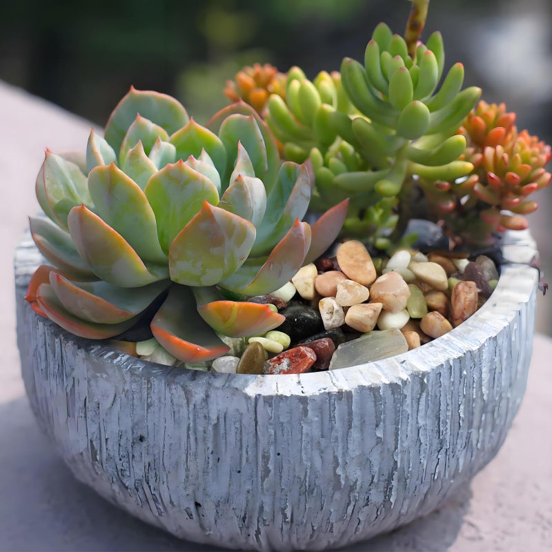 FANTIAN Succulent Rocks, 3/8 Inch Polished Pebbles for Indoor Plants, Decorative River Rocks for Plants Indoor, Vase Fillers, Cactus Planters, Bird Bath, Fountain, Outdoor Garden Landscaping - Image 5