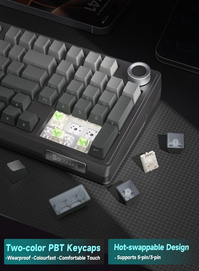 SOLAKAKA لوحة مفاتيح SOLAKAKA KI99 Pro 96% اللاسلكية الميكانيكية، لوحة مفاتيح ألعاب RGB، مفاتيح قابلة للاستبدال السريع ومزيتة مسبقًا، لوحات مفاتيح كريمية ذات هيكل مانع للتسرب (متدرج اللون الأسود، إصدار غير صامت) - Image 4