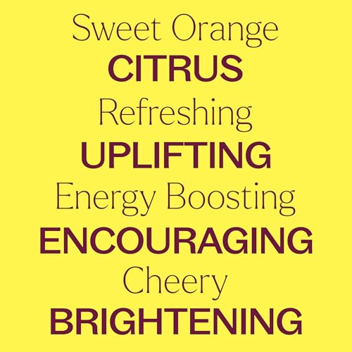 Plant Therapy Sweet Orange Organic Essential Oil 100% Pure, USDA Certified Organic, Undiluted, Natural Aromatherapy, Therapeutic Grade 100 mL (3.3 oz) - Image 4