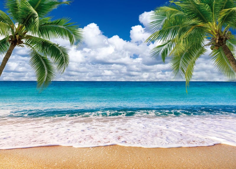 SJOLOON Summer sea Backdrop Tropical Beach Plants Photo Backdrop Hawaiian Ocean Blue Sky Background for Theme Party Supplies Studio Props 12692(7x5FT) - Image 1