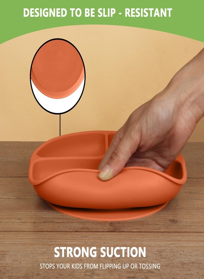 PEEPER Suction Plate - Image 4