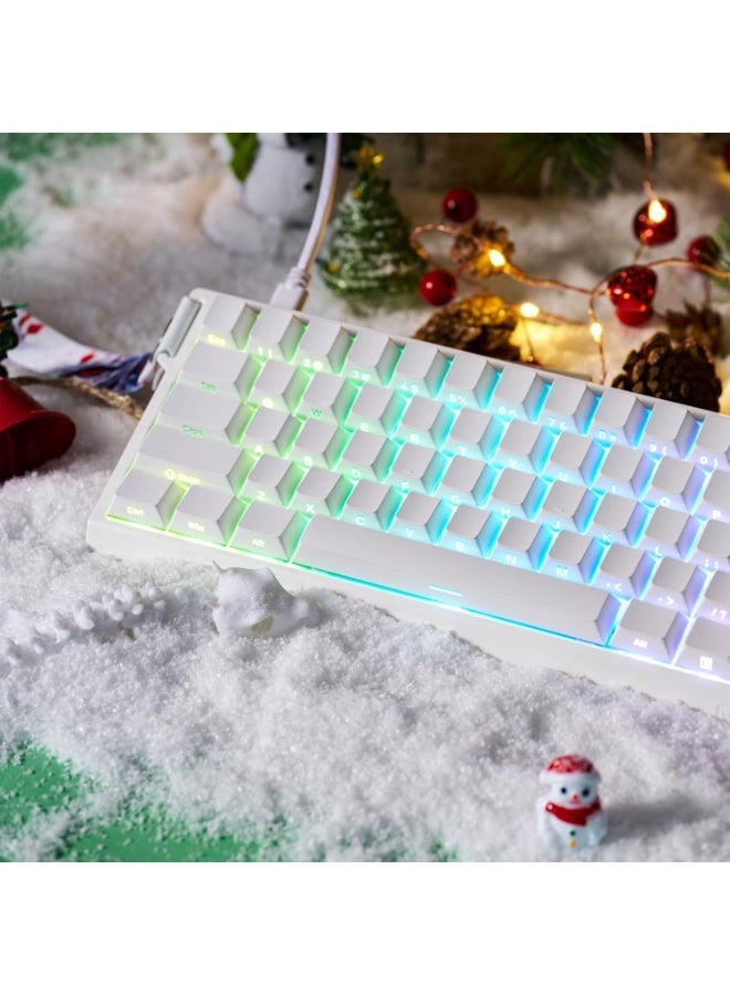 Madlions Mad 68 HE Mechanical Gaming Keyboard with Magnetic Switches, 16M Color RGB Lighting, 8000Hz Rapid Switching Technology, 0.02mm Tactile Keys, 68 Keys for FPS Gaming, White - Image 3