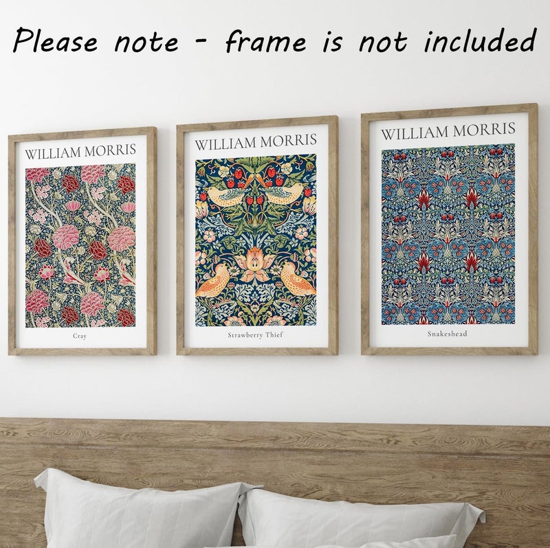 Eviepops Prints William Morris Set of 3 Unframed Prints, Art Nouveau Home Decor, Vintage Art, Botanical Flower Poster, Cray Strawberry Thief Snakeshead (12x16) - Image 5