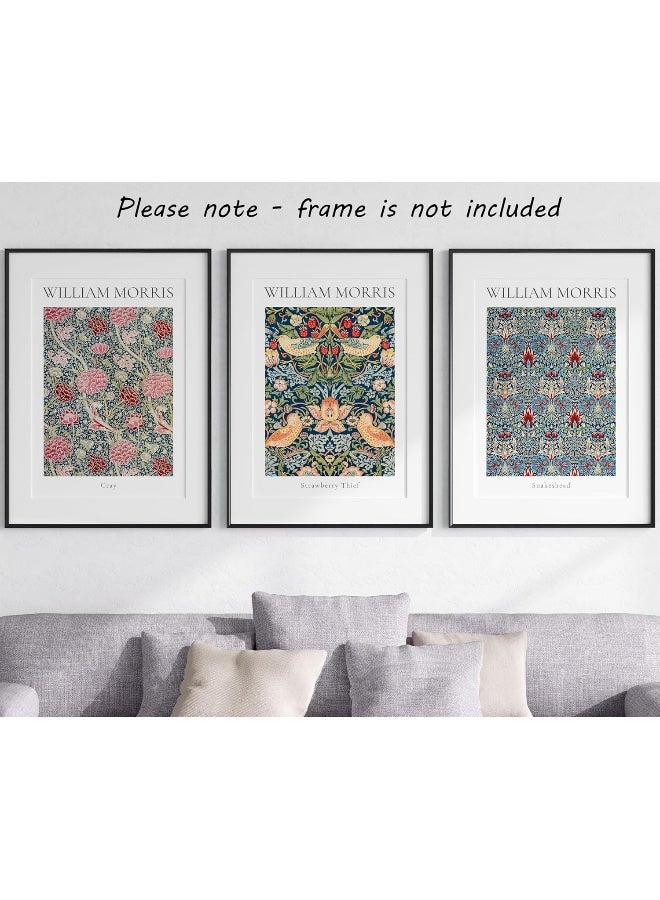 Eviepops Prints William Morris Set of 3 Unframed Prints, Art Nouveau Home Decor, Vintage Art, Botanical Flower Poster, Cray Strawberry Thief Snakeshead (12x16) - Image 2