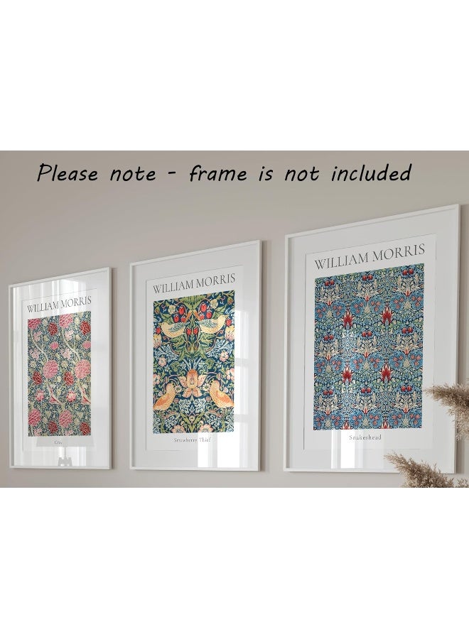 Eviepops Prints William Morris Set of 3 Unframed Prints, Art Nouveau Home Decor, Vintage Art, Botanical Flower Poster, Cray Strawberry Thief Snakeshead (12x16) - Image 3