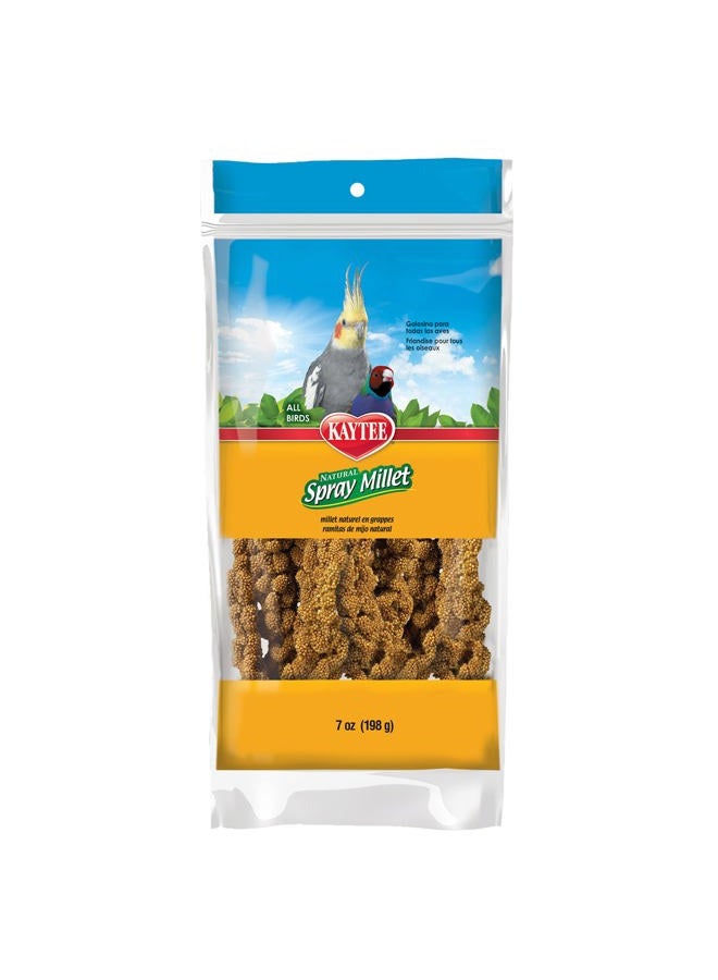 Kaytee Spray Millet for Birds, 12-Count - Image 1