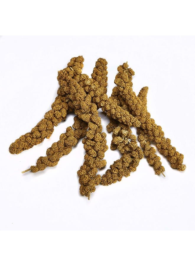 Kaytee Spray Millet for Birds, 12-Count - Image 3