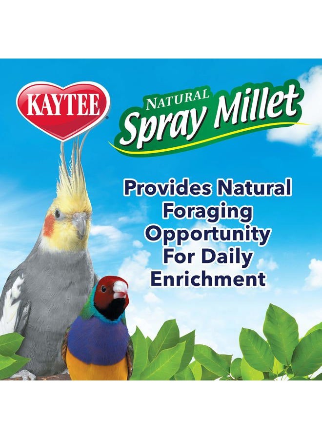 Kaytee Spray Millet for Birds, 12-Count - Image 5