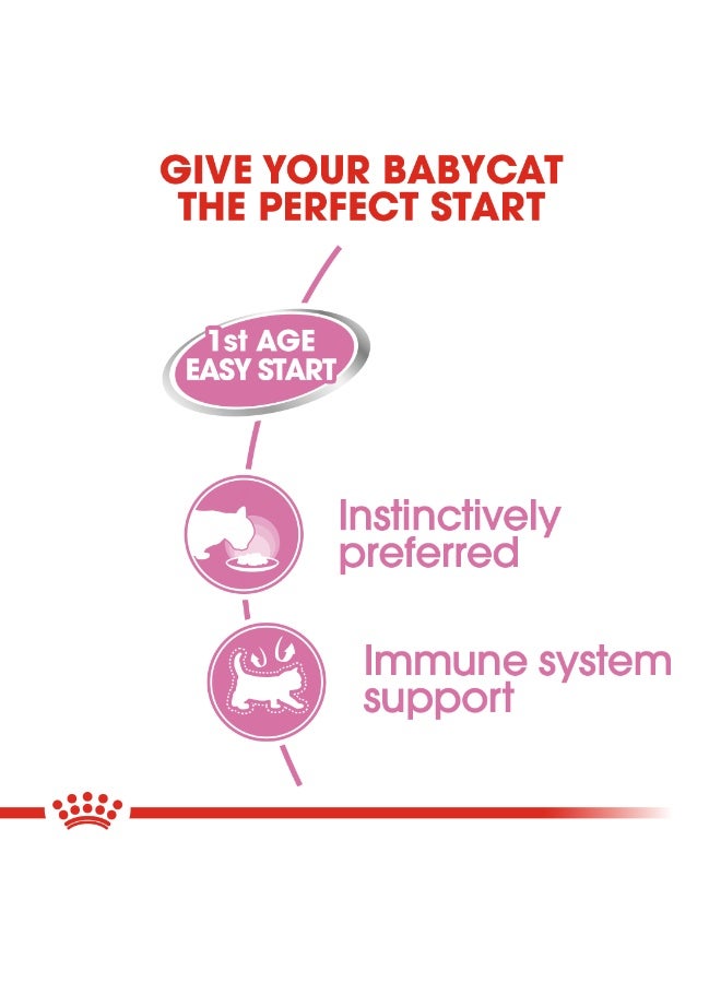 ROYAL CANIN رويال كانين للتغذية الصحية للقطط الأم والقطط الصغيرة موس مبلل طعام قطط – 12 × 195 - Image 3