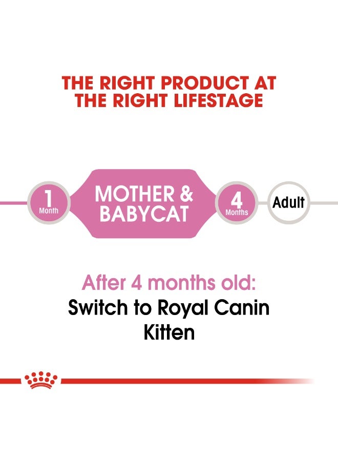 ROYAL CANIN رويال كانين للتغذية الصحية للقطط الأم والقطط الصغيرة موس مبلل طعام قطط – 12 × 195 - Image 2