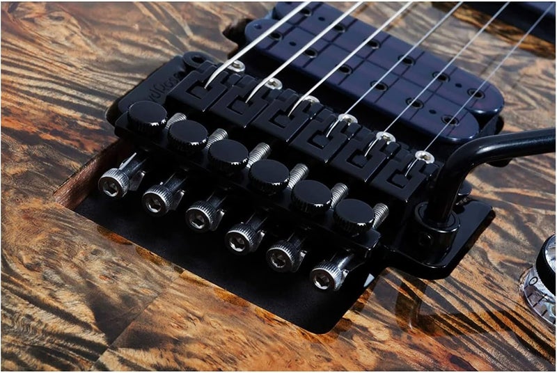 Schecter جيتار شيكتر 2454 أومن إليت 6 FR مع لوحة أصابع من خشب الورد وفلويد روز باللون الرمادي - Image 4