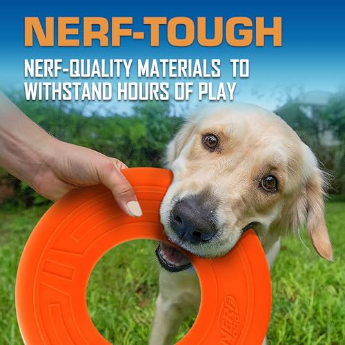 Nerf Dog Atomic Flyer Outdoor Dog Toy, 10 Inch Flying Disc Dog Fetch Toy, Rubber Dog Toy for Medium Dogs and Large Dogs, Orange - Image 4