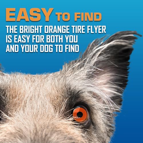 Nerf Dog Atomic Flyer Outdoor Dog Toy, 10 Inch Flying Disc Dog Fetch Toy, Rubber Dog Toy for Medium Dogs and Large Dogs, Orange - Image 5