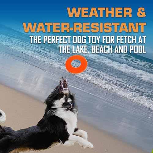 Nerf Dog Atomic Flyer Outdoor Dog Toy, 10 Inch Flying Disc Dog Fetch Toy, Rubber Dog Toy for Medium Dogs and Large Dogs, Orange - Image 3