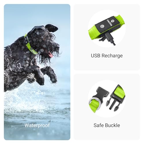Tractive LED Light Up Dog Collar USB Rechargeable Waterproof (Green) - Image 4