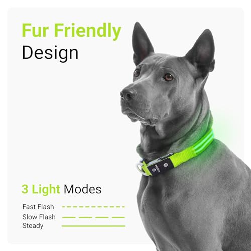 Tractive LED Light Up Dog Collar USB Rechargeable Waterproof (Green) - Image 3